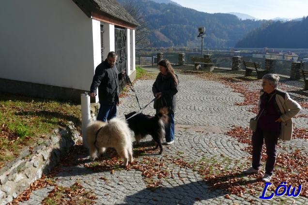 1.11.2024 - Wassersuche am Schlossberg